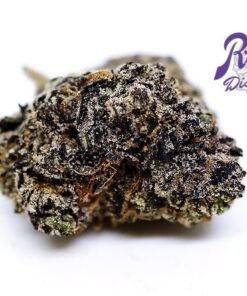 bubble gum runtz strain available