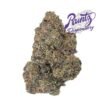 Purple Runtz Strain for sale