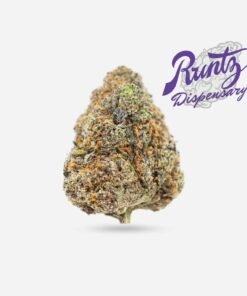 Buy Best Grade Pink Runtz Strain for sale online